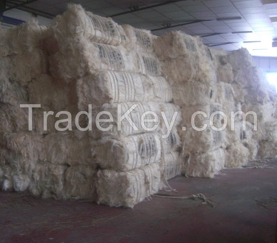 UG grade raw Sisal Fiber