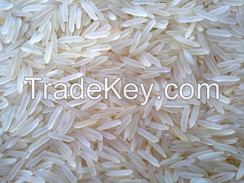 RICE, Sona Masuri Rice