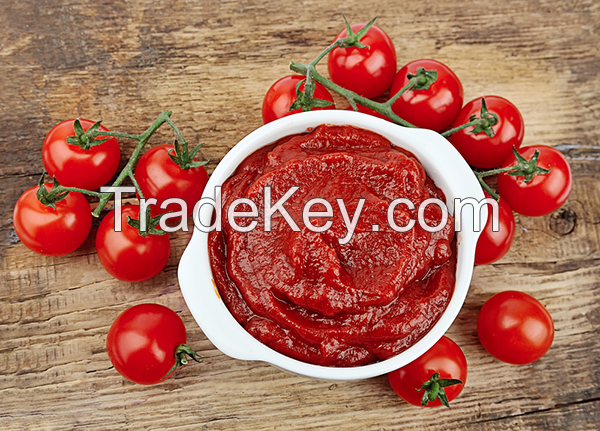 Tomato Paste