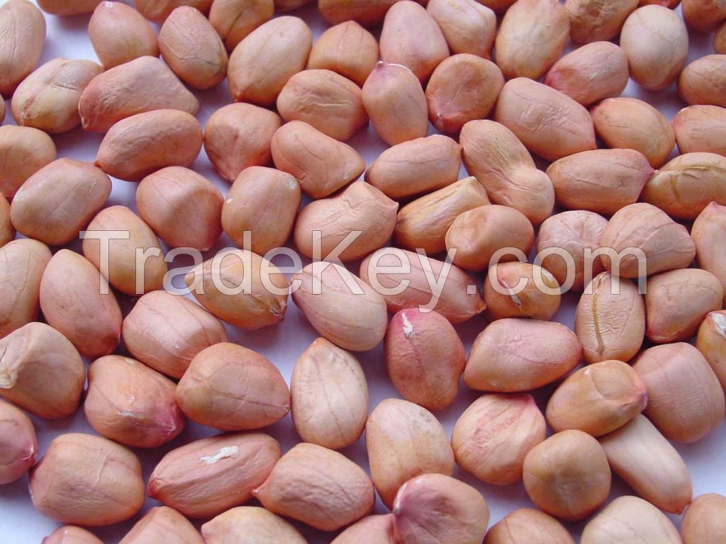 Brand New Crop of Peanuts from West Africa