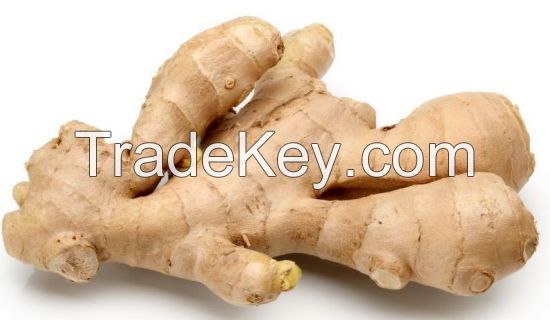 Fresh and Dried Ginger from Nigeria