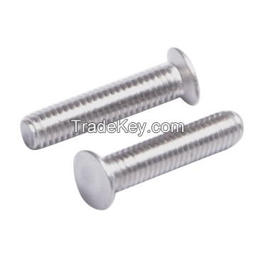 CNC Precision Stainless Steel Automative Electrical Knurled Bolt