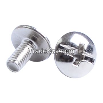 Hardware Phillips Screws