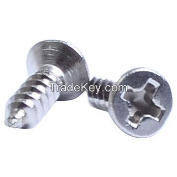 Hardware Phillips Screws