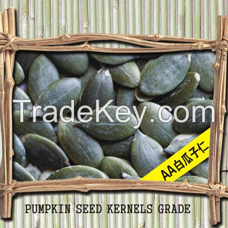 Pumpkin seed kernels