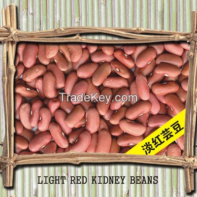 Light Red Bean