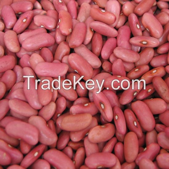 Red Kidney Bean