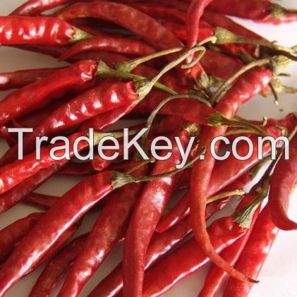 Dry Red Chilli