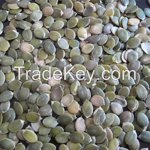 Pumpkin seed kernels Grade AA