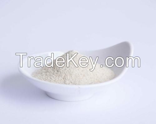 Factory supply High purity protease food enzyme