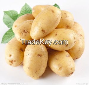 Rice,Basmati Rice,flavour rice(chini gura),Reguler Rice,See Food,Crab,Ells,Pron,Frozen Fish(verious kinds),potato