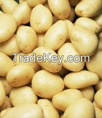POTATO