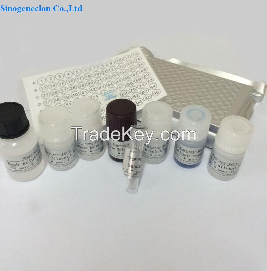 Estradiol ELISA Kit