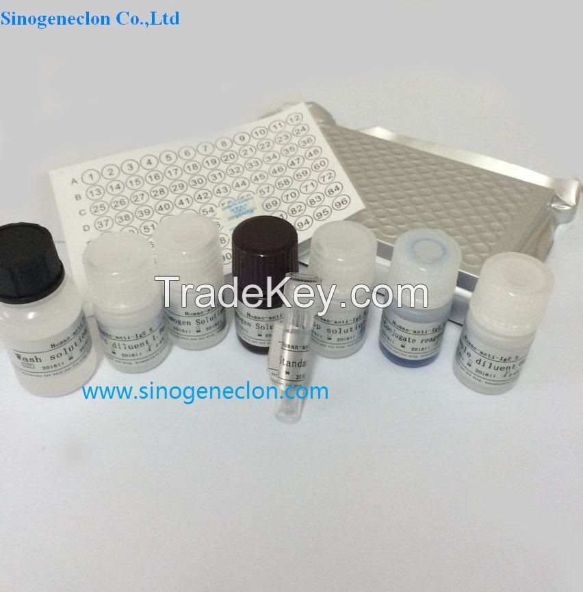 Human Citrulline ELISA kit