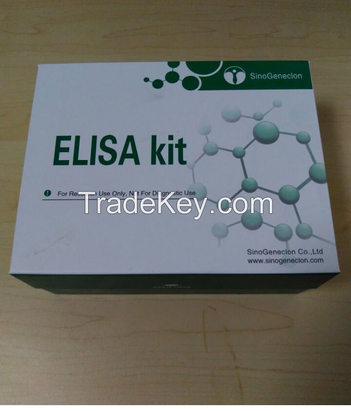 Human Neuropeptide Y (NPY) ELISA Kit