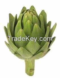 IQF Artichok