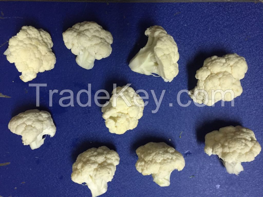 IQF Cauliflower