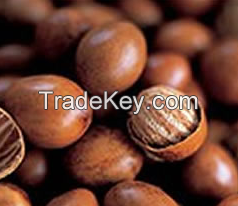 Shea Nuts, Roasted Nuts, Blended Nuts