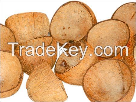 High Quality Indian Coconut Shell / Chips