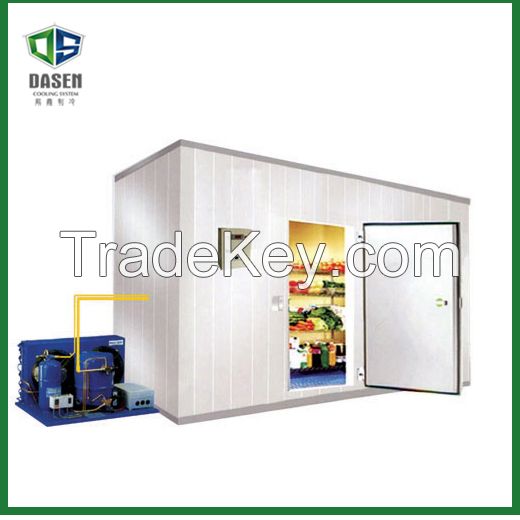 Fireproof Big Freezer Room for Logistics Use