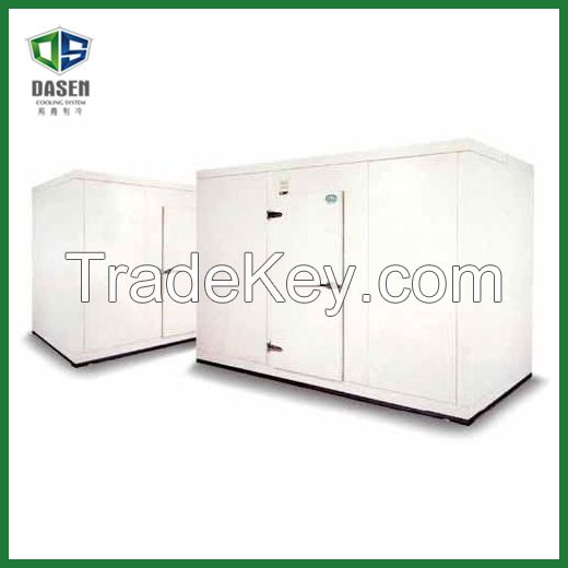 Fireproof Big Freezer Room for Logistics Use