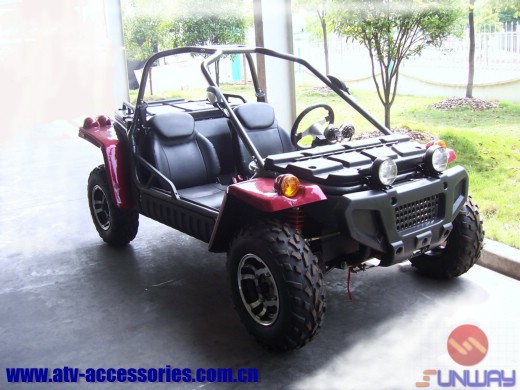 300CC Buggy/Go Kart