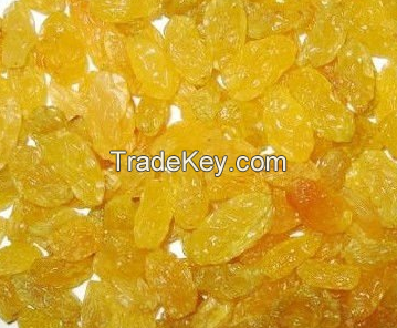 dried golden raisin