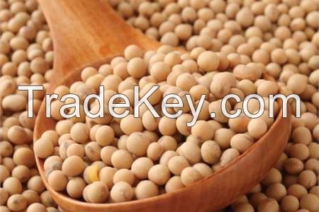 Soya Bean