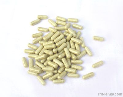 700mg Hoodia Capsules Bulk