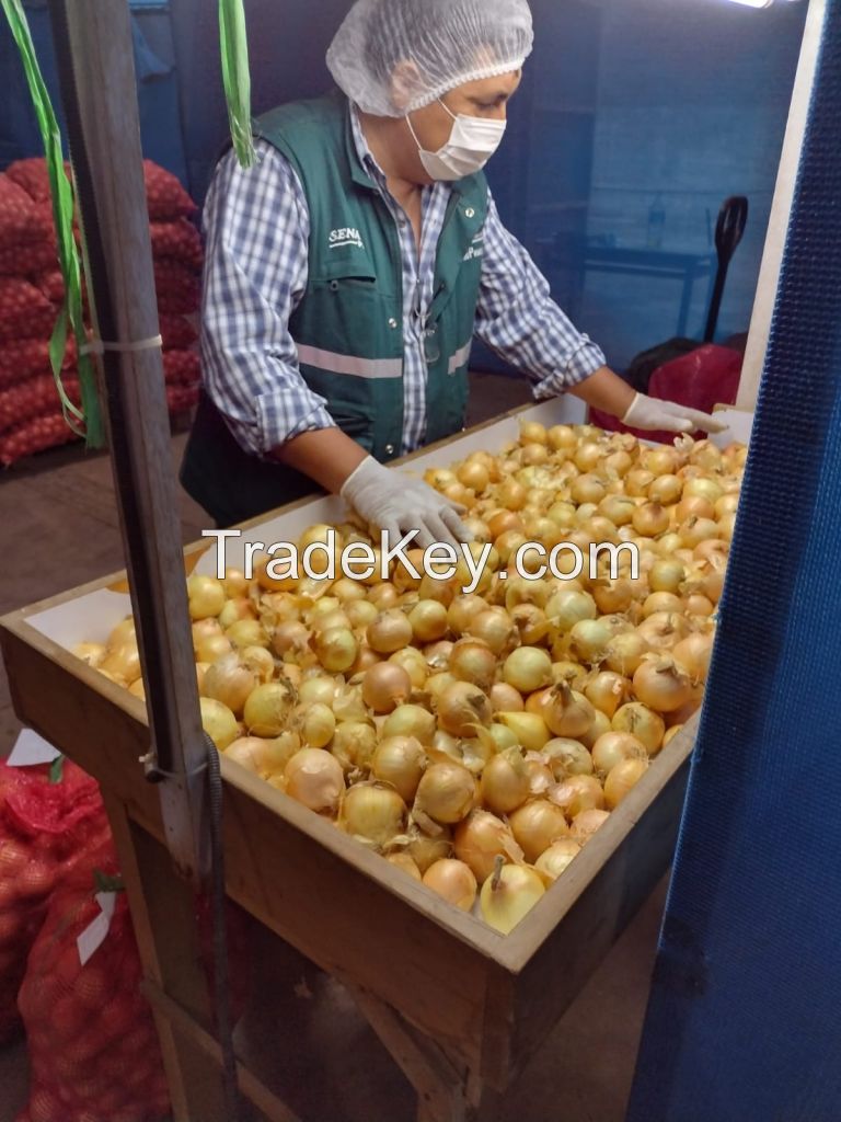 Fresh onions from Peru