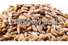 Raw Sunflower Seeds No shell