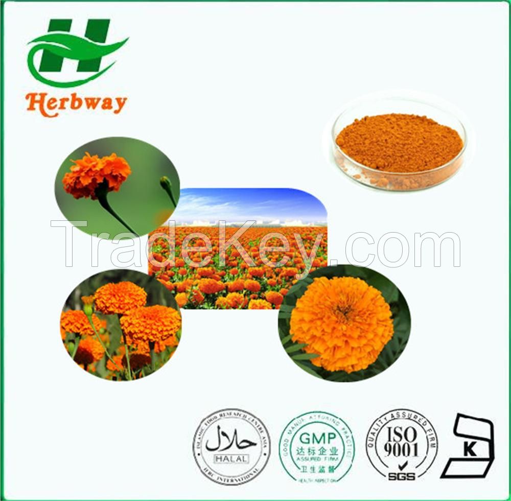 Marigold Extract