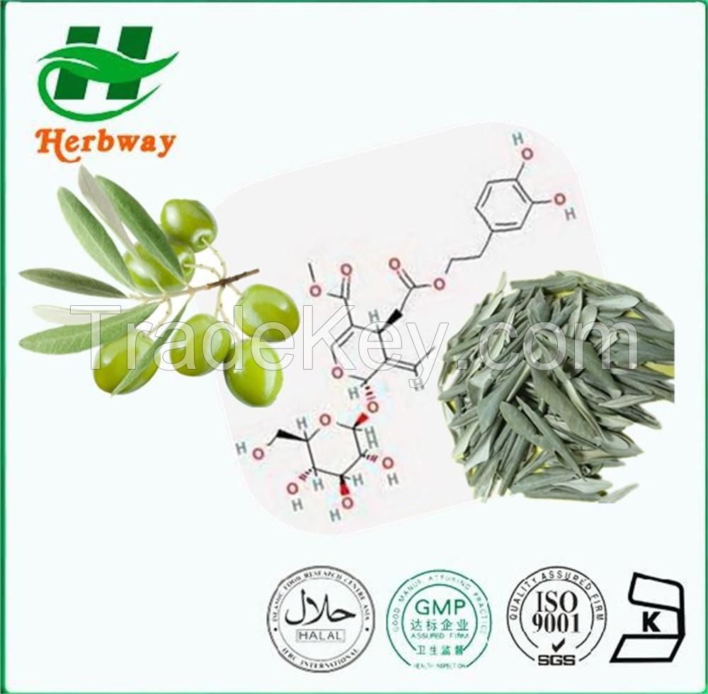 Olive Leaf Extract