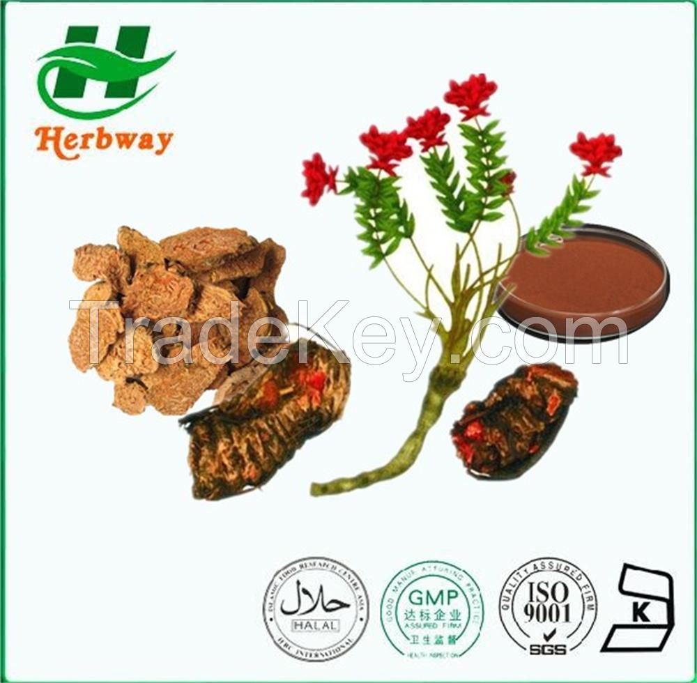 Rhodiola Rosea Extract