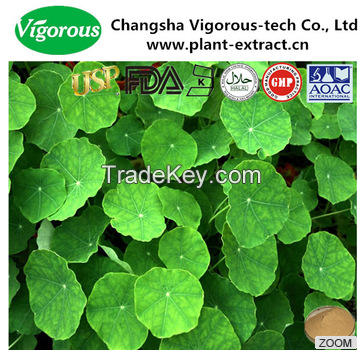 Gotu kola extract/Centella asiatica powder/High quality 40%Asiaticosides gotu kola extract powder