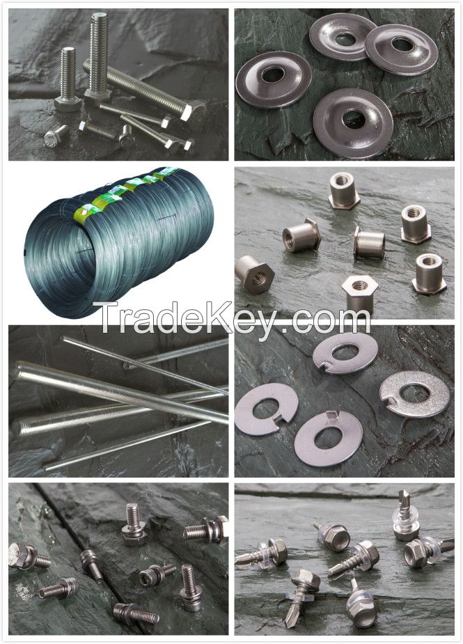 Fasteners Bolt Nuts, Screw, Washers, non-standard special fasteners