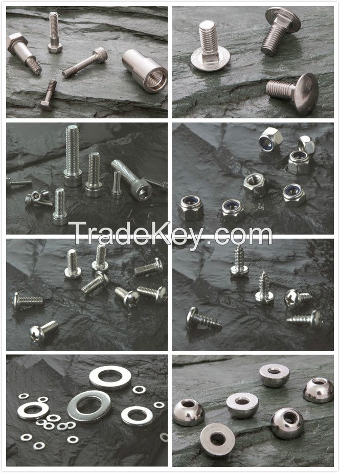 Fasteners Bolt Nuts, Screw, Washers, non-standard special fasteners