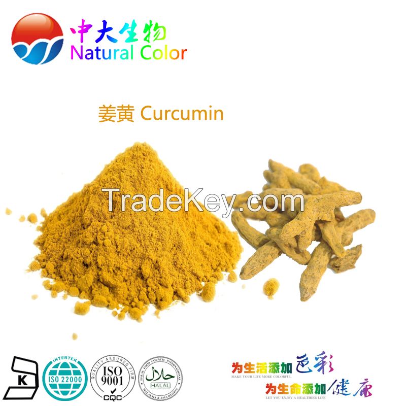 natural food color curcumin pigment supplier