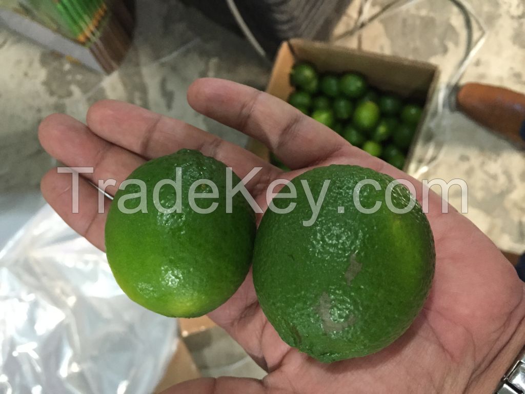 Fresh Seedless Lime