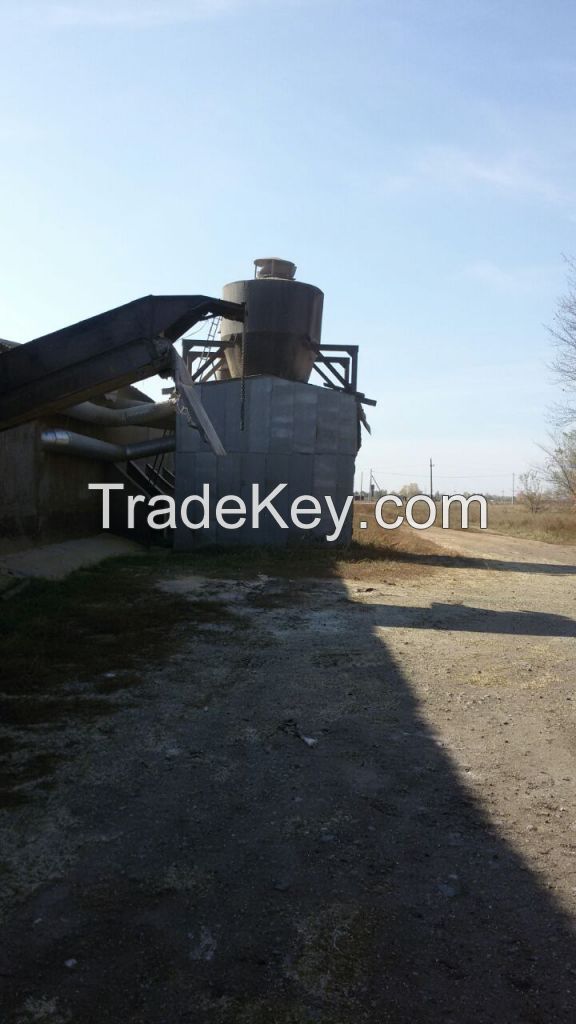 wheat flour