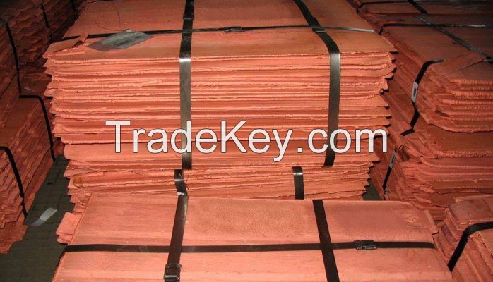 Copper Cathode 