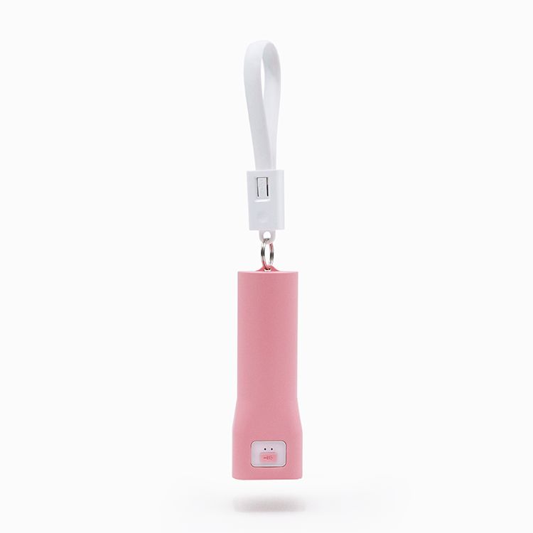 Power Bank with LED Torch Light