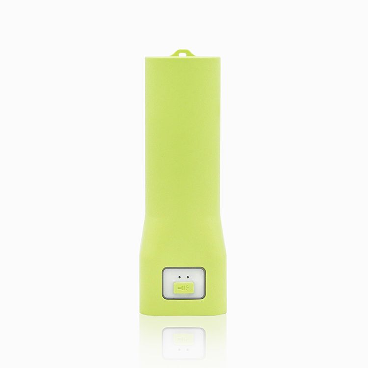 Power Bank with LED Torch Light