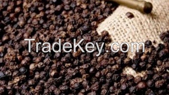 Malaysia Sarawak Black Pepper 550gl/ 500gl, 600gl