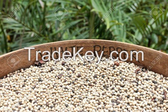 Malaysia Sarawak White Pepper 600-630 G/L