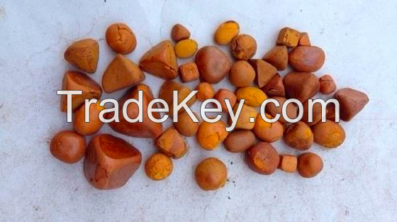 Ox Gallstones