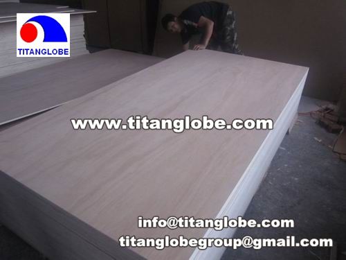 Door Skin Plywood