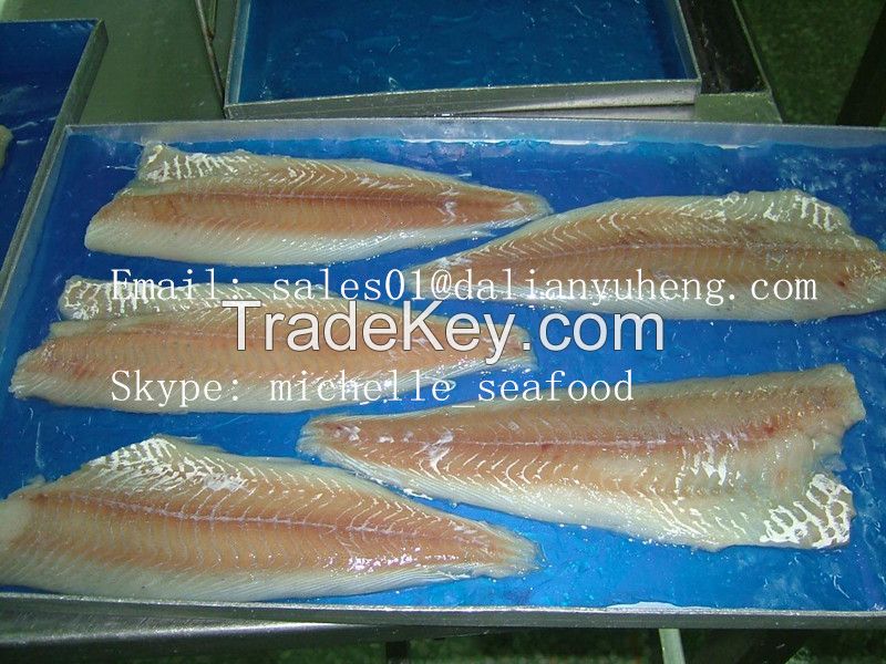 FROZEN SAITHE FILLETS OR PORTION