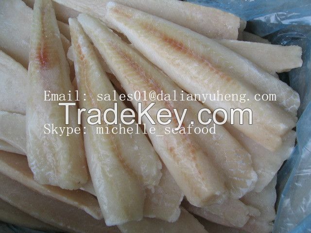 FROZEN ALASKA POLLOCK FILLETS