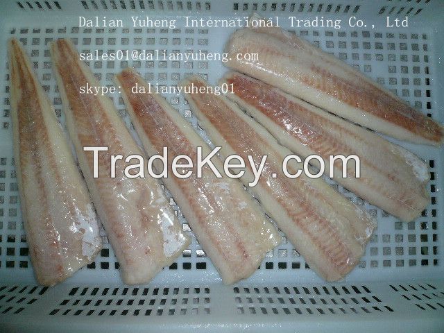 FROZEN PACIFIC HAKE FILLETS